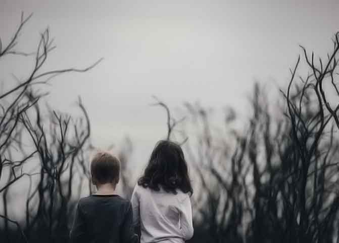 会员开通平台的器测压文章